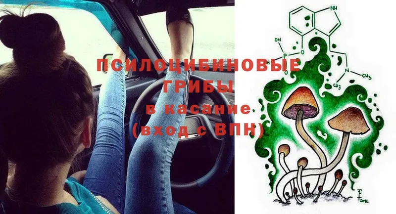 Псилоцибиновые грибы ЛСД  где продают   Ермолино 